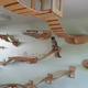 Image for article titled This wall furniture is the coolest thing your cat will see all day